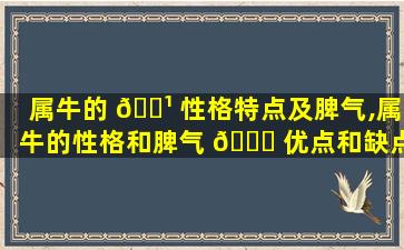 属牛的 🌹 性格特点及脾气,属牛的性格和脾气 🍀 优点和缺点